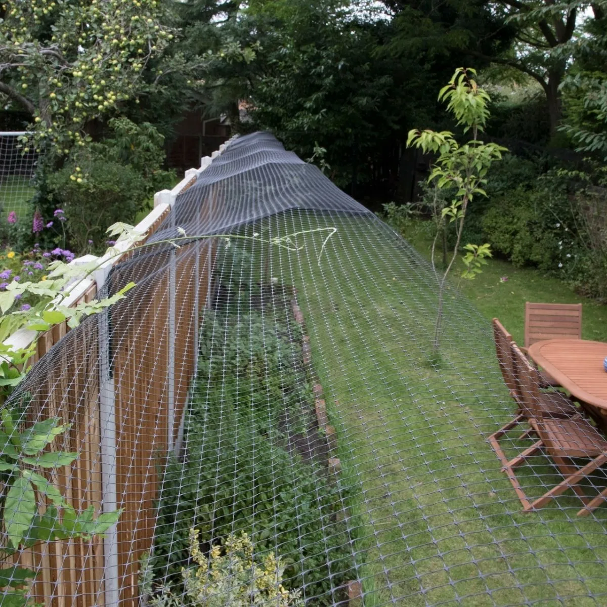 ProtectaPet® Mesh 1m Wide