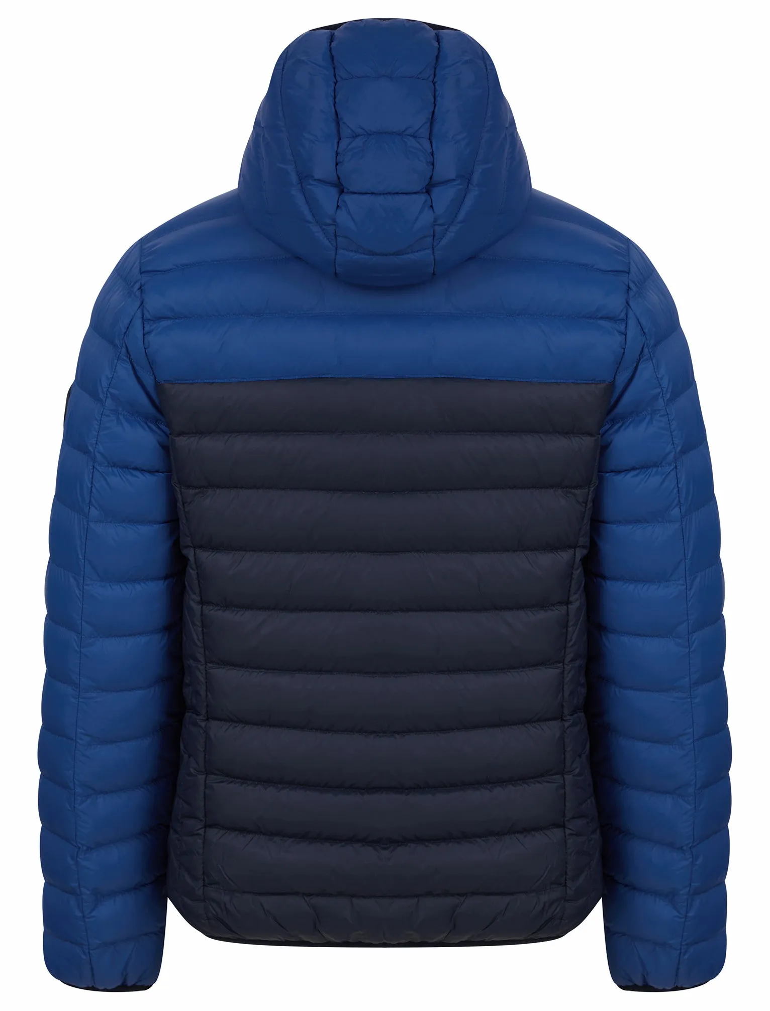 Virgo Colour Block Quilted Puffer Jacket with Hood in Sodalite Blue - Tokyo Laundry